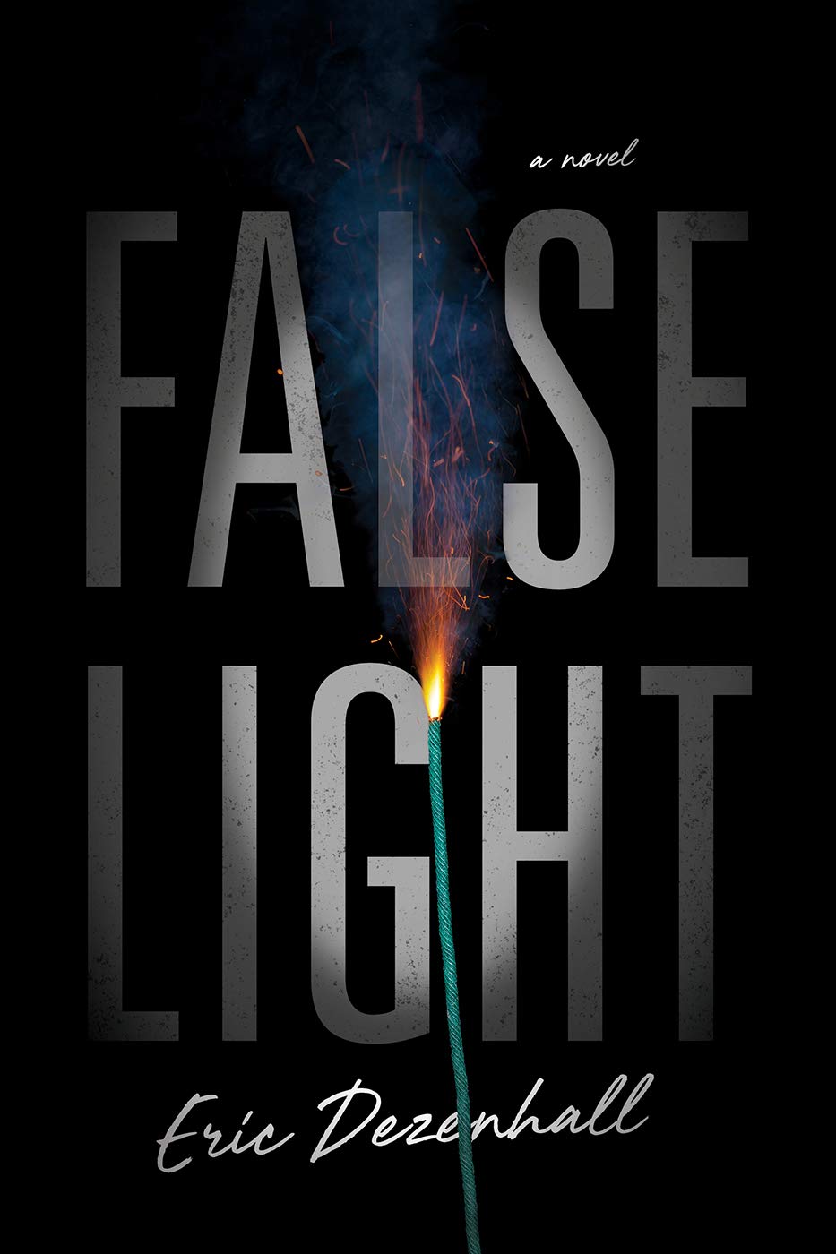Novel Review False Light