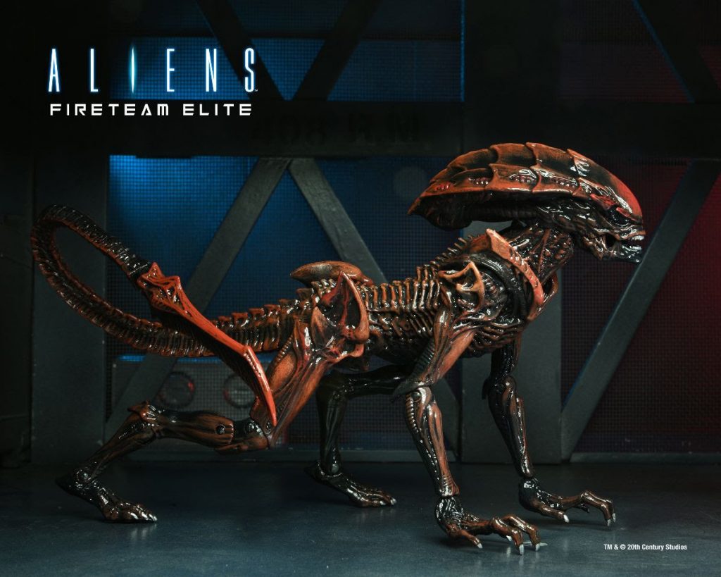 Announcing Aliens: Fireteam Elite action figures from NECA