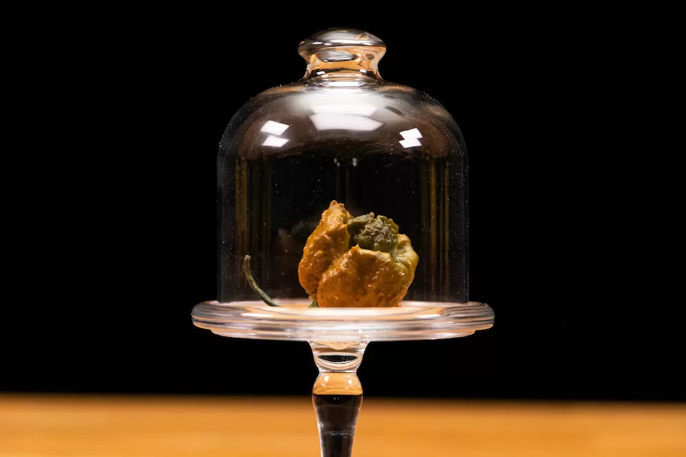 Pepper X Earns Guinness World Records Title As New Hottest Pepper In